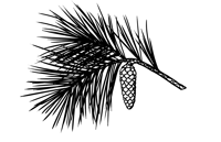 Pin N-1