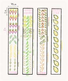 Plan de jardin_c