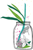 illustration_13