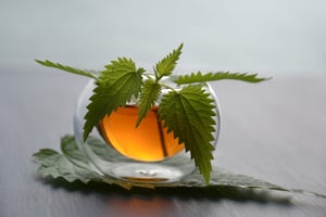 tea-3833598_1920